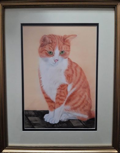 Pastel pencils, Cat portrait.